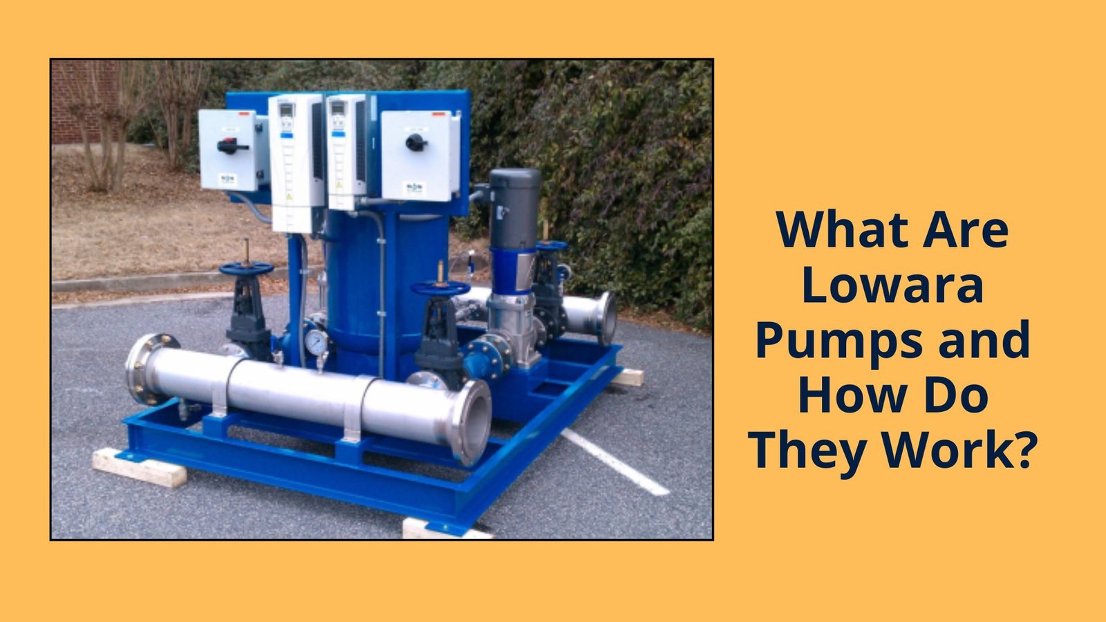 What Are Lowara Pumps and How Do They Work?